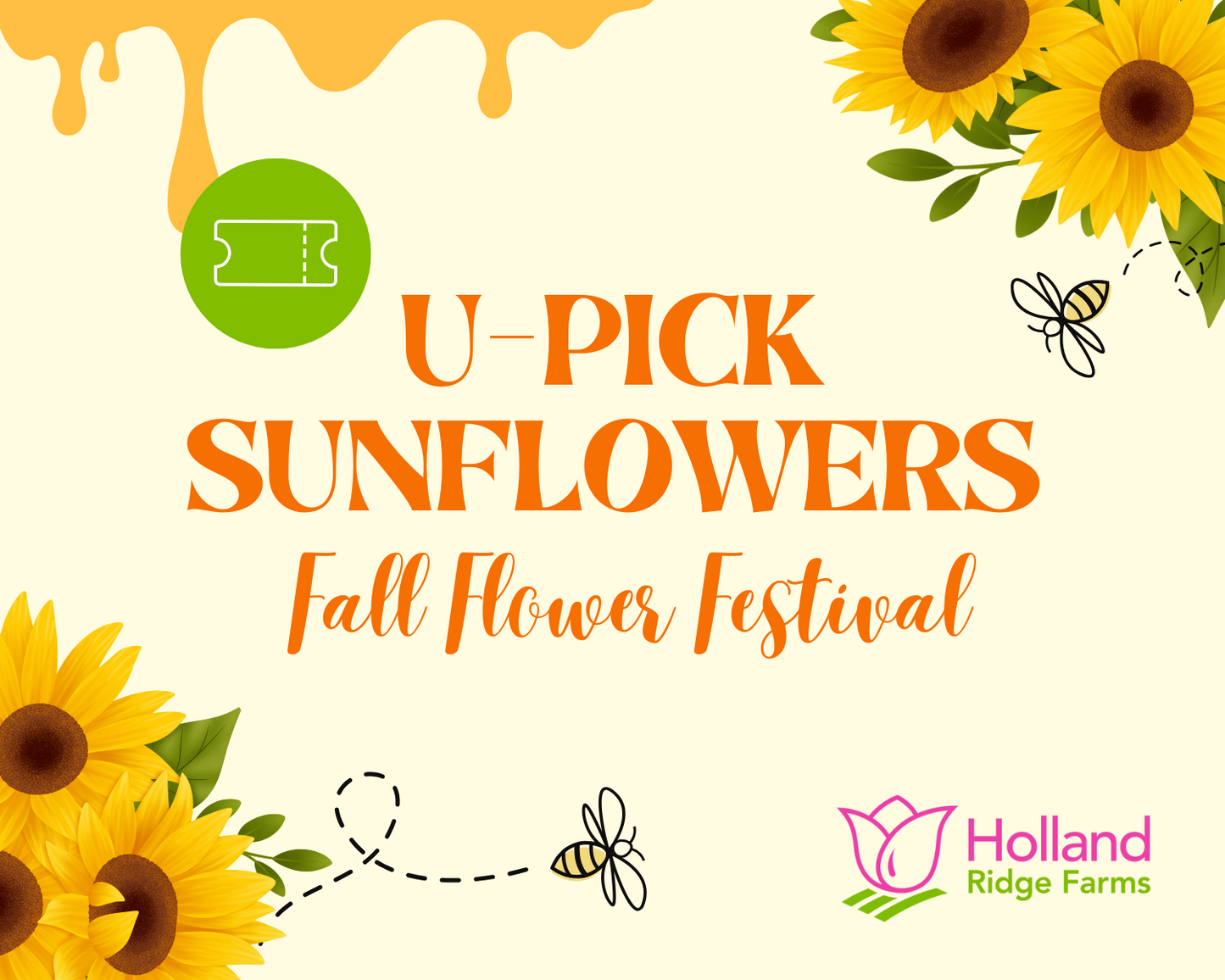 U-Pick Sunflowers: Fall Festival
