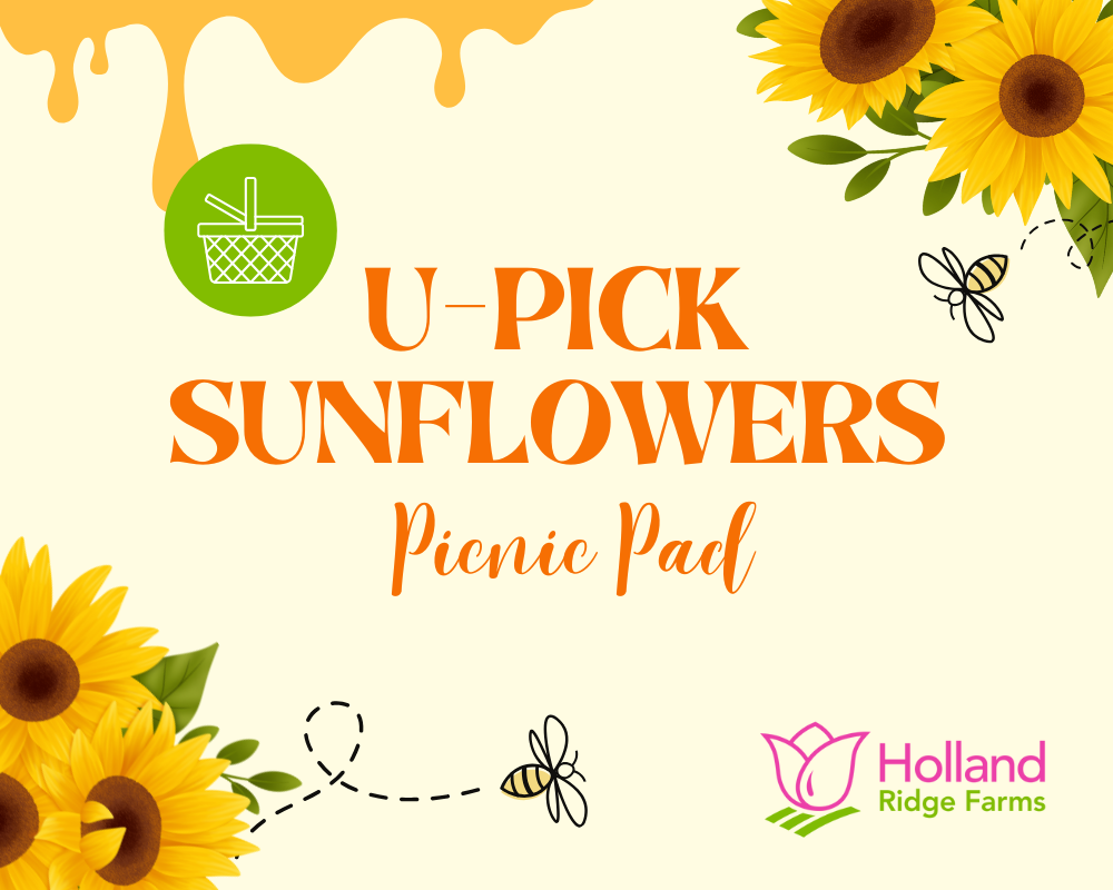 Picnic Pad 9/29 - 10/13
