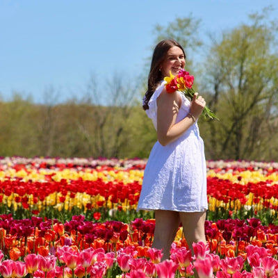 U-Pick Tulips NJ Spring Flower Fields at Holland Ridge Farms