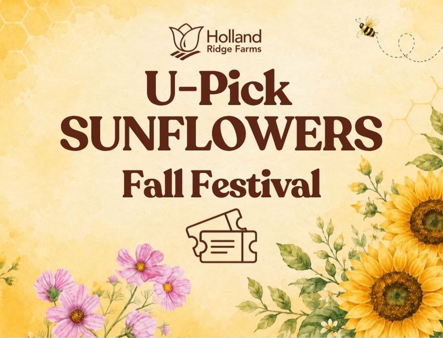 U-Pick Sunflowers: Fall Festival 2026
