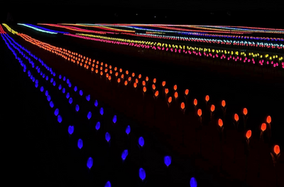 U-Pick Tulips Winter Wonderland Holiday Lights at Holland Ridge