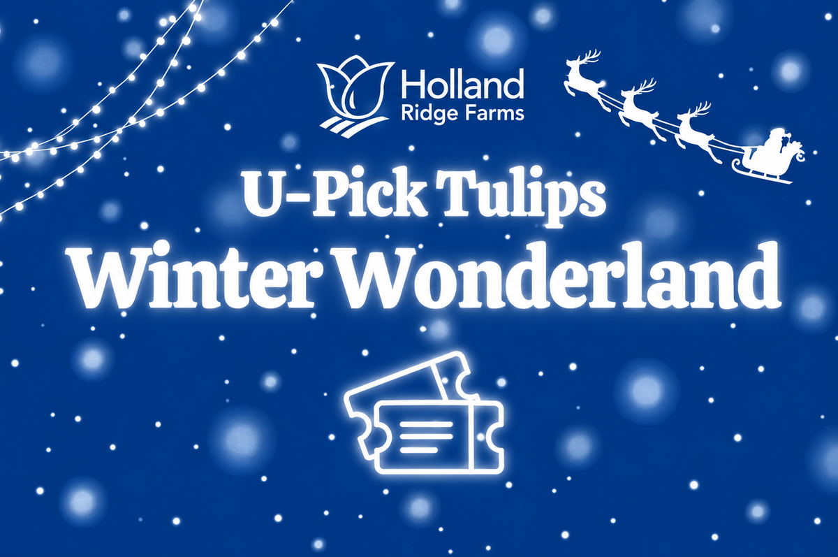 Winter Wonderland 2026