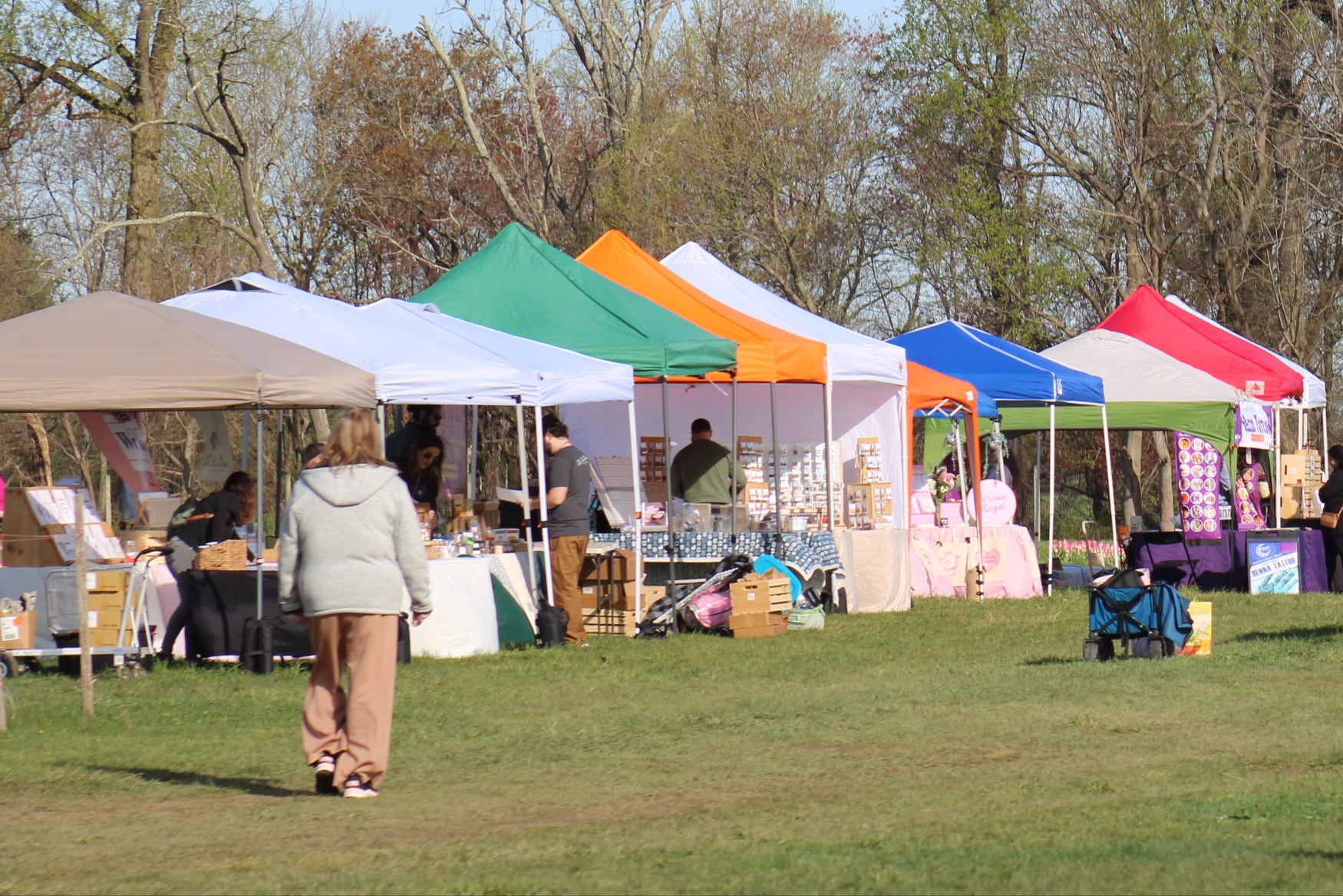 U-Pick Tulips Spring Spectacular | Holland Ridge Farms New Jersey