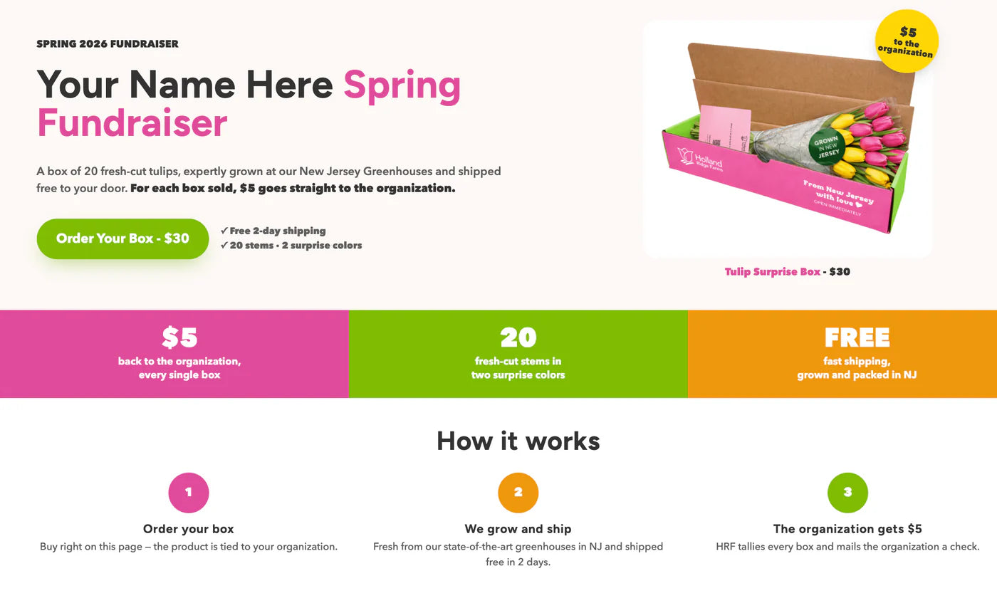 Example school fundraiser page