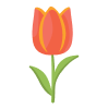 Blooms in the Spring