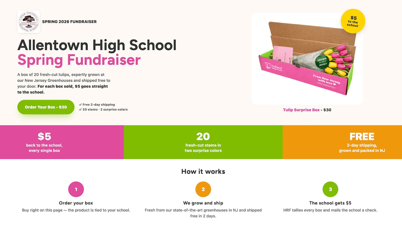 Example school fundraiser page