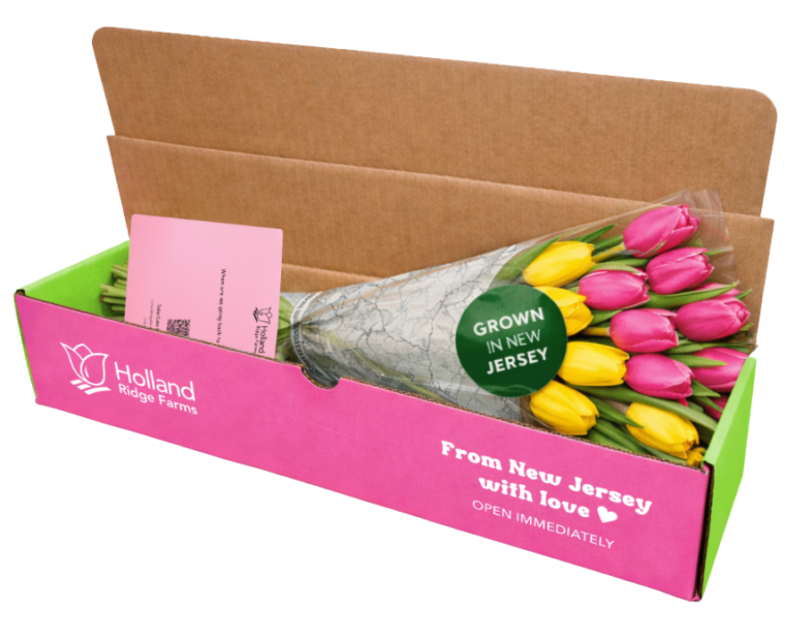 Tulip Surprise Box